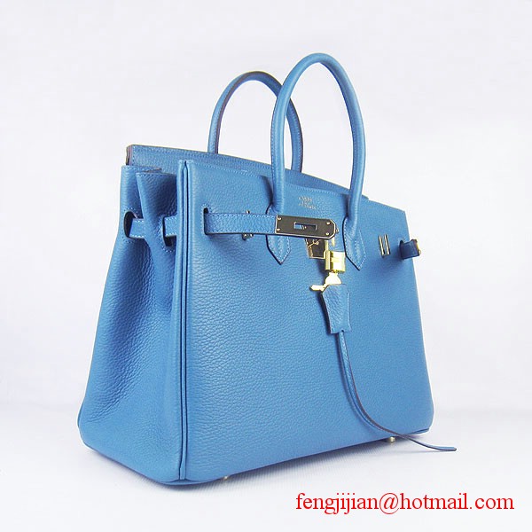 Hermes 35cm Embossed Veins Leather Bag Bule 6089 Gold Hardware